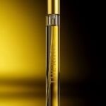 Dior - Homme Intense 2011